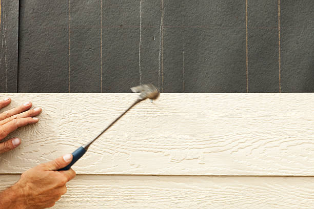 Best Fascia and Soffit Installation  in Roanoke, VA